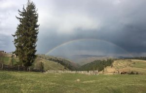 Șoseaua Acvilelor din Apuseni contribuie la relansarea turismului