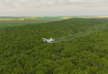 Romsilva a efectuat în această primăvară lucrări de combatere a omizilor defoliatoare pe 2700 ha de pădure