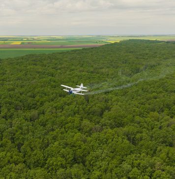Romsilva a efectuat în această primăvară lucrări de combatere a omizilor defoliatoare pe 2700 ha de pădure