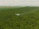 Romsilva a efectuat în această primăvară lucrări de combatere a omizilor defoliatoare pe 2700 ha de pădure