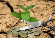 Business Edge: Cifrele spun o poveste surprinzătoare pentru vocile înfierbântate despre deficitul României