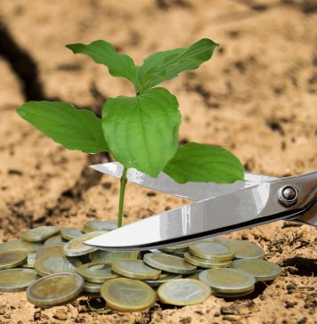 Business Edge: Cifrele spun o poveste surprinzătoare pentru vocile înfierbântate despre deficitul României