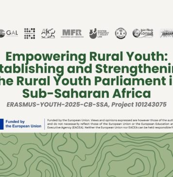 EMPOWER+: un nou rezultat al proiectului și primul training internațional organizat în România