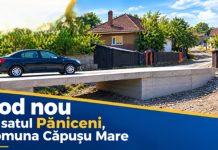 Pod nou peste Valea Păniceniului, pentru turiștii și locuitorii din Căpușu Mare